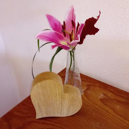 Annelies * Breitenbach am Inn