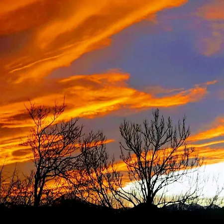 Annelies Breitenbach am Inn