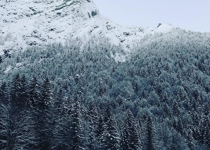 Annelies * Breitenbach am Inn