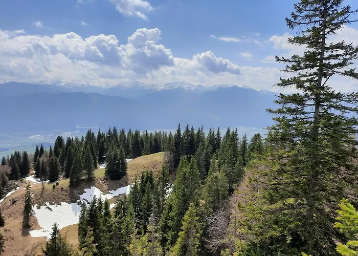 Annelies Breitenbach am Inn