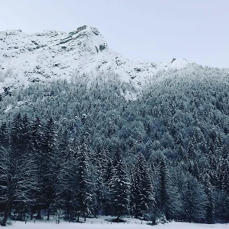 Annelies * Breitenbach am Inn